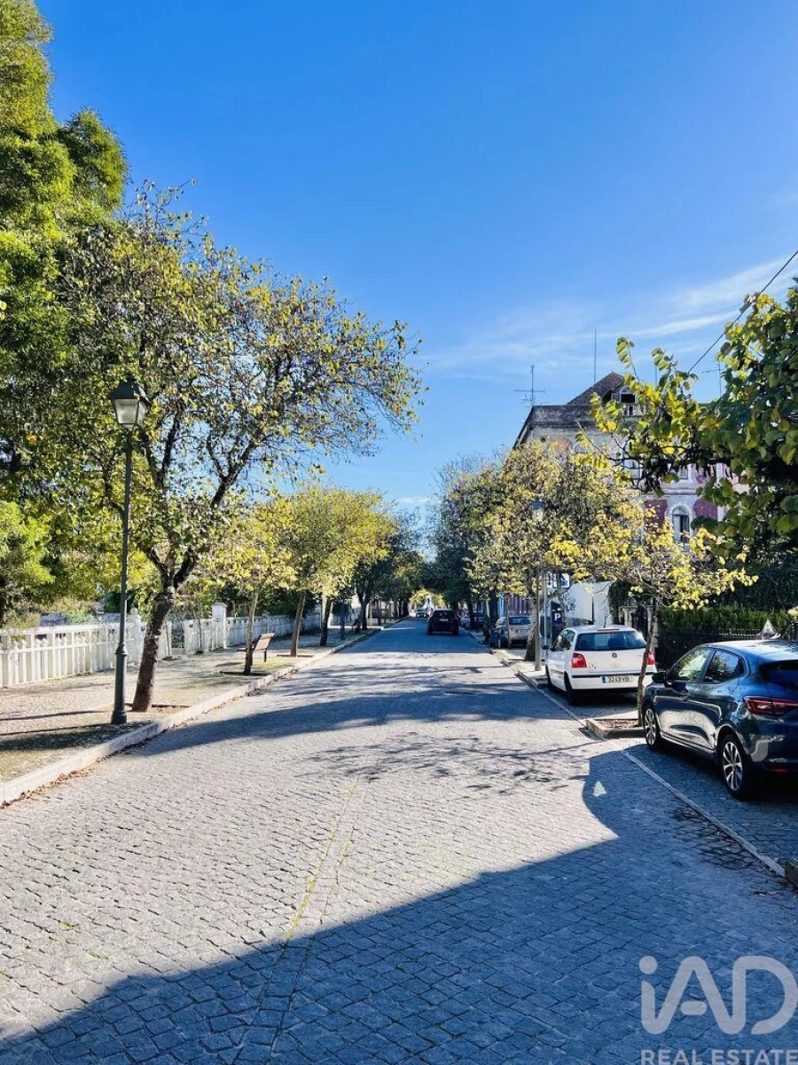 Prédio para Venda em Romeira e Várzea Foto 23