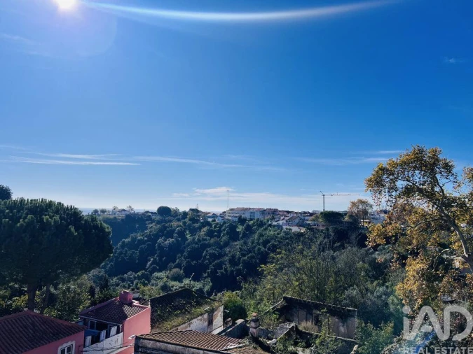Prédio para Venda em Romeira e Várzea Foto 18