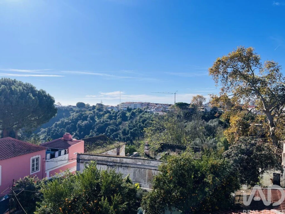 Prédio para Venda em Romeira e Várzea Foto 10