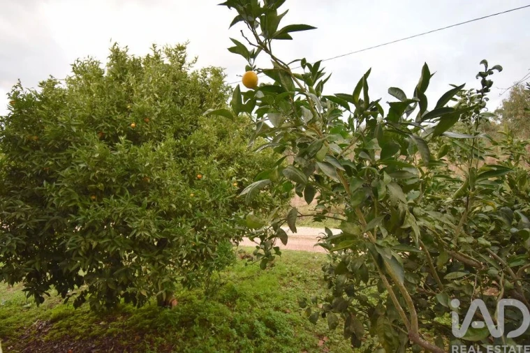 Moradia T2 para Venda em Vila Nova Foto 16