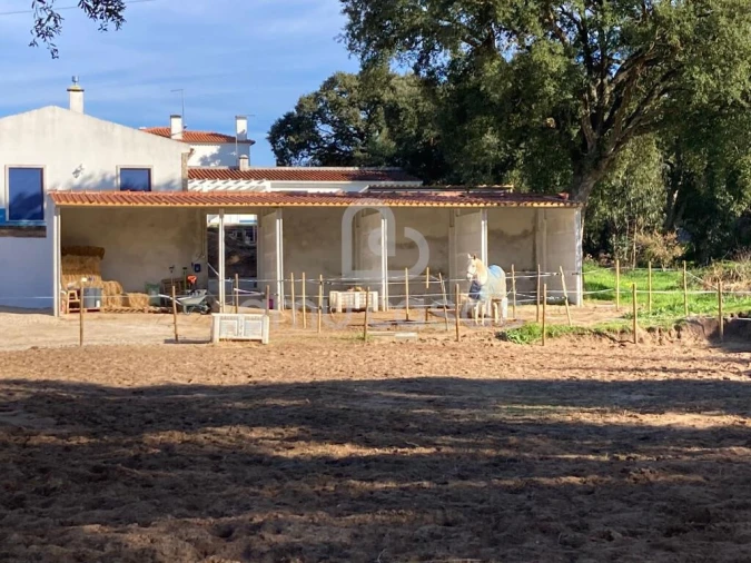 Quinta T5 para Venda em Alfeizerão Foto 16