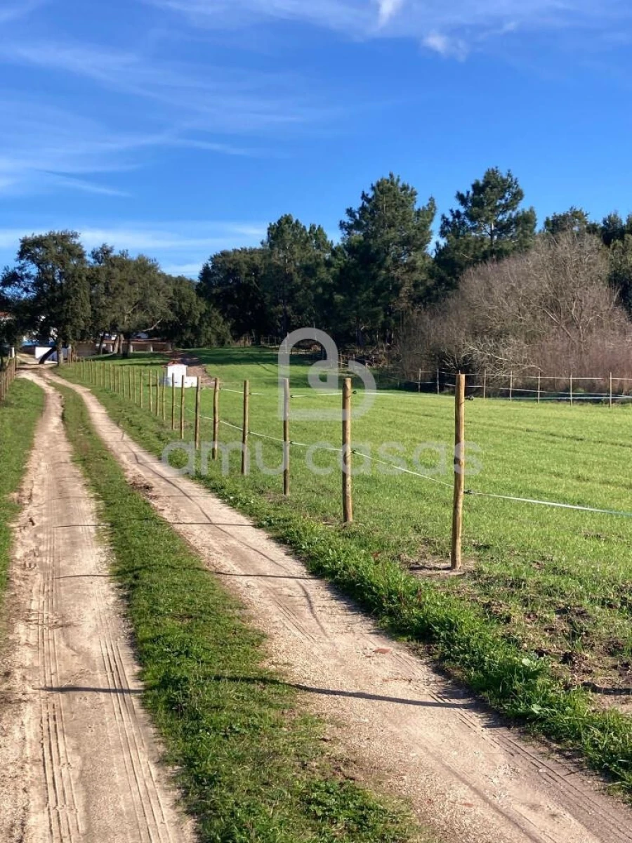 Quinta T5 para Venda em Alfeizerão Foto 19
