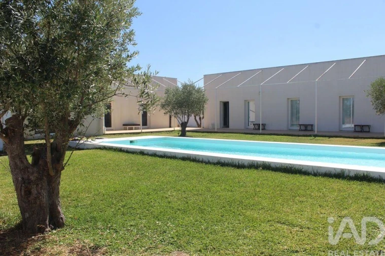 Negócio para Venda em Santa Vitória e Mombeja Foto 9