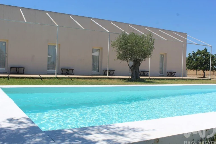 Negócio para Venda em Santa Vitória e Mombeja Foto 2