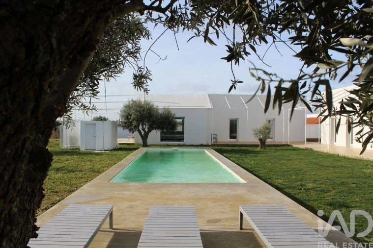 Negócio para Venda em Santa Vitória e Mombeja Foto 10