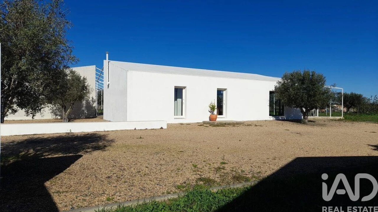 Negócio para Venda em Santa Vitória e Mombeja Foto 8