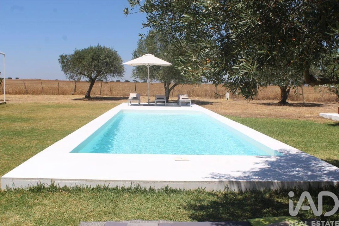 Negócio para Venda em Santa Vitória e Mombeja Foto 6