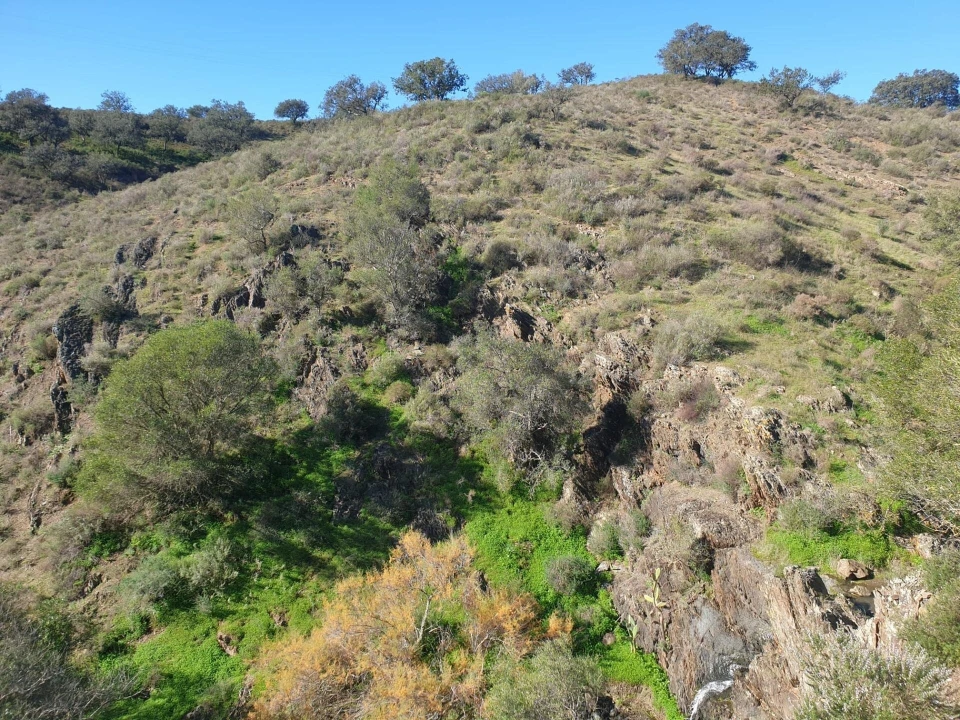 Terreno para Venda em Odeleite Foto 4