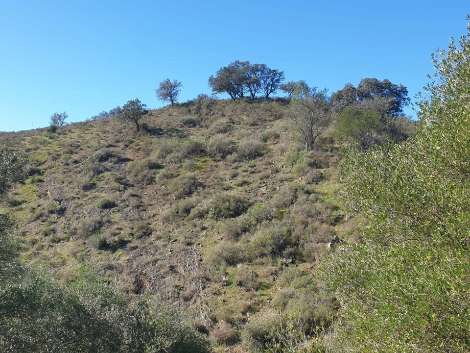 Terreno para Venda em Odeleite Foto 1