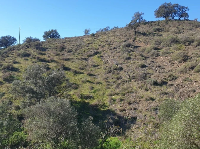 Terreno para Venda em Odeleite Foto 3