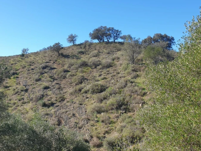 Terreno para Venda em Odeleite Foto 1