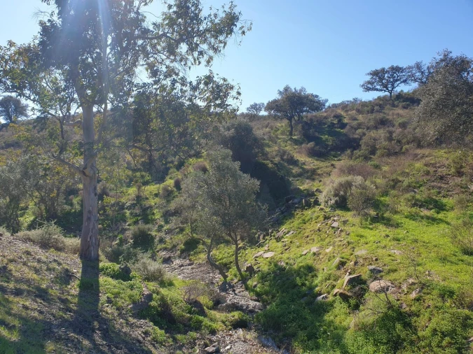 Terreno para Venda em Odeleite Foto 12