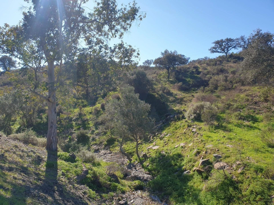 Terreno para Venda em Odeleite Foto 12