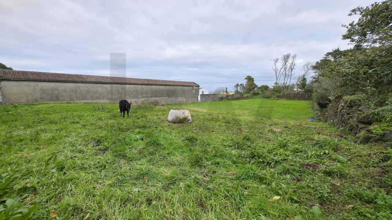 Terreno para Venda em Fenais da Luz Foto 8