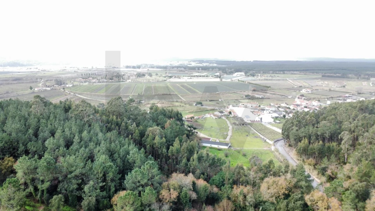 Moradia T3 para Venda em Maiorga Foto 55