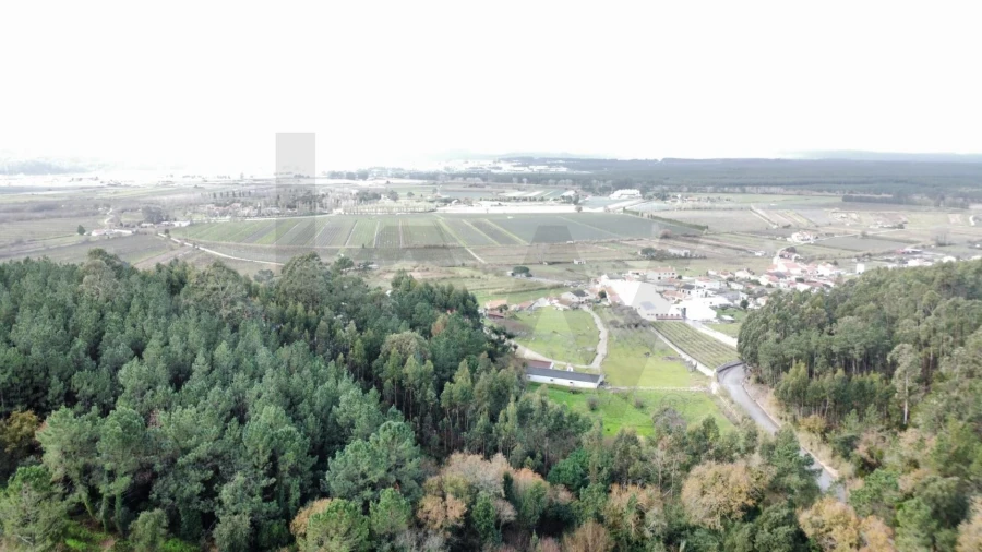 Moradia T3 para Venda em Maiorga Foto 55