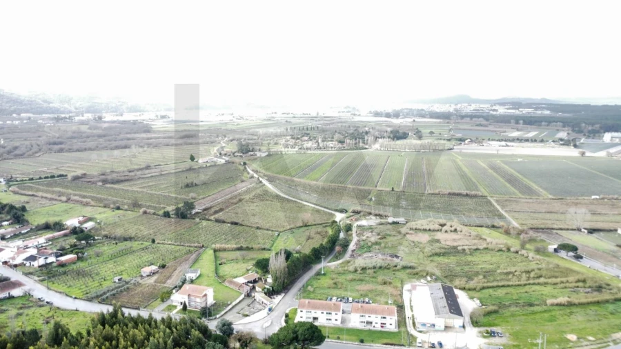 Moradia T3 para Venda em Maiorga Foto 53