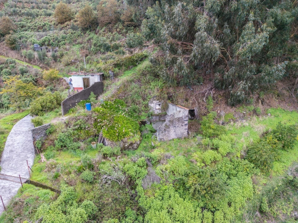 Terreno para Venda em Santa Cruz Foto 4