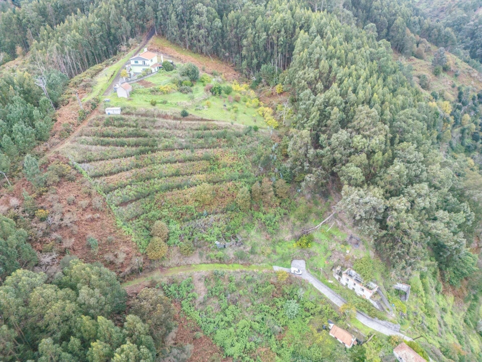 Terreno para Venda em Santa Cruz Foto 21