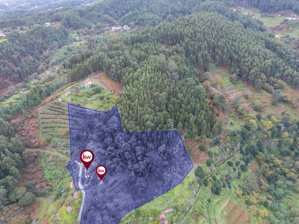 Terreno para Venda em Santa Cruz Foto 2