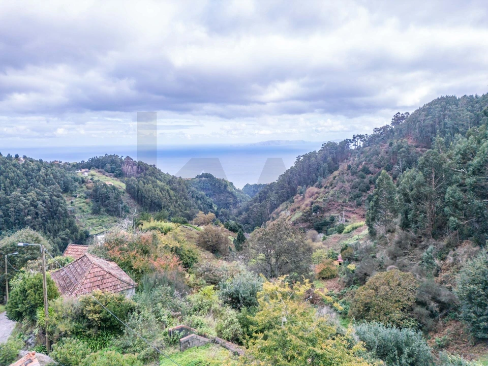 Terreno para Venda em Santa Cruz Foto 13