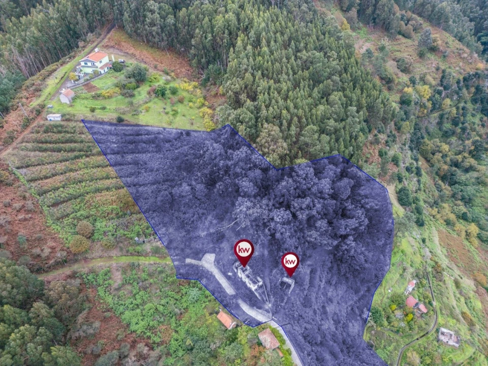 Terreno para Venda em Santa Cruz Foto 1