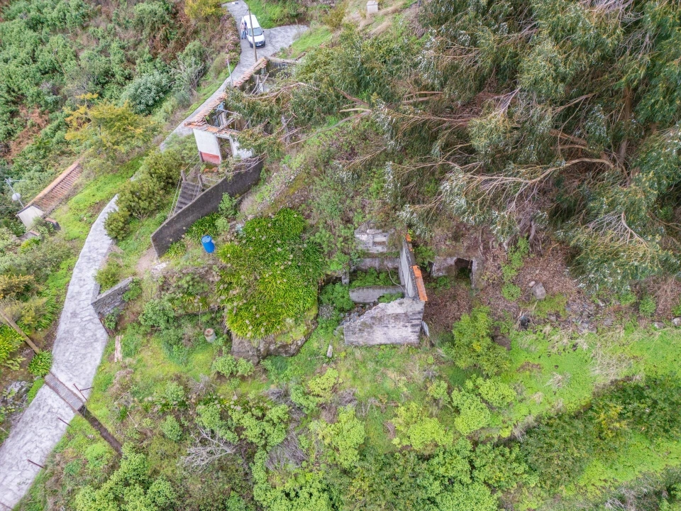 Terreno para Venda em Santa Cruz Foto 8