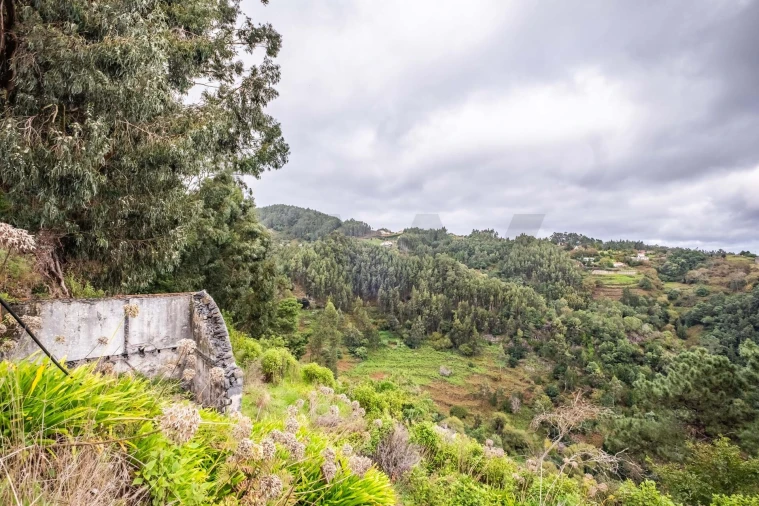 Terreno para Venda em Santa Cruz Foto 18