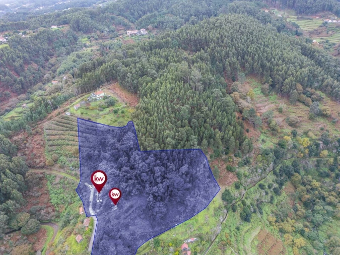 Terreno para Venda em Santa Cruz Foto 2