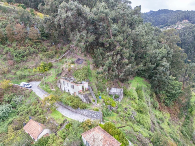Terreno para Venda em Santa Cruz Foto 5