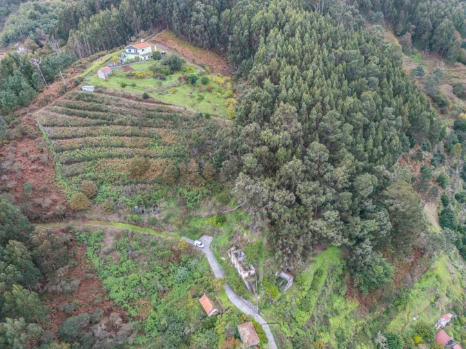 Terreno para Venda em Santa Cruz Foto 23