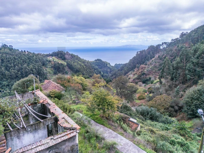 Terreno para Venda em Santa Cruz Foto 11