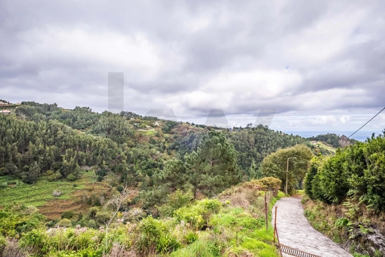 Terreno para Venda em Santa Cruz Foto 19