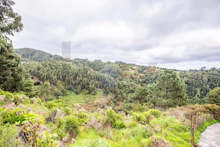 Terreno para Venda em Santa Cruz Foto 16