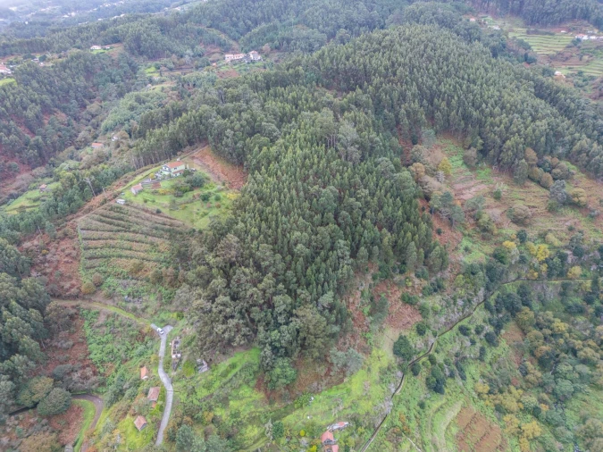 Terreno para Venda em Santa Cruz Foto 26