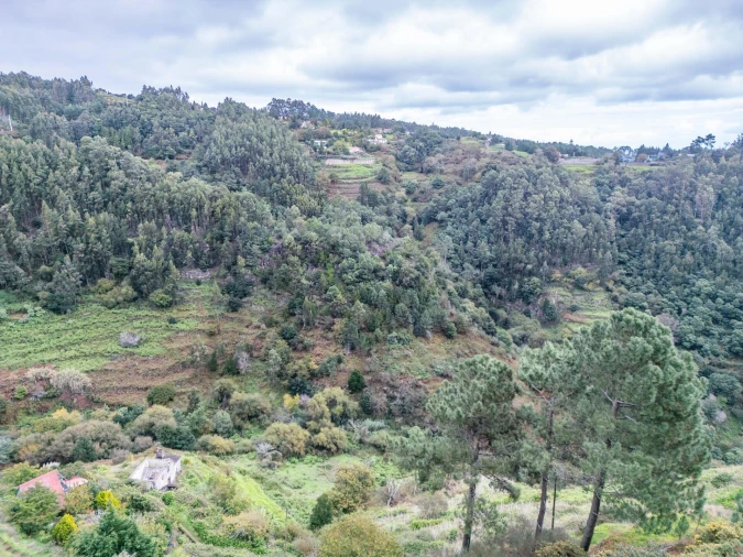 Terreno para Venda em Santa Cruz Foto 15