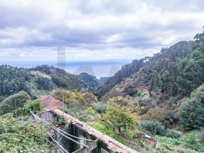 Terreno para Venda em Santa Cruz Foto 12