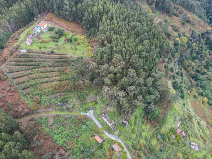 Terreno para Venda em Santa Cruz Foto 24