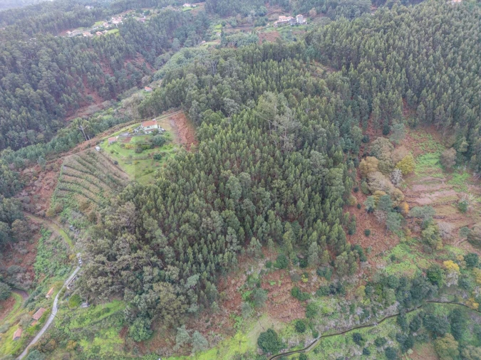 Terreno para Venda em Santa Cruz Foto 25