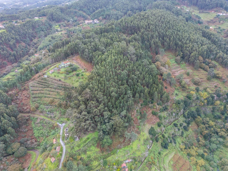 Terreno para Venda em Santa Cruz Foto 26