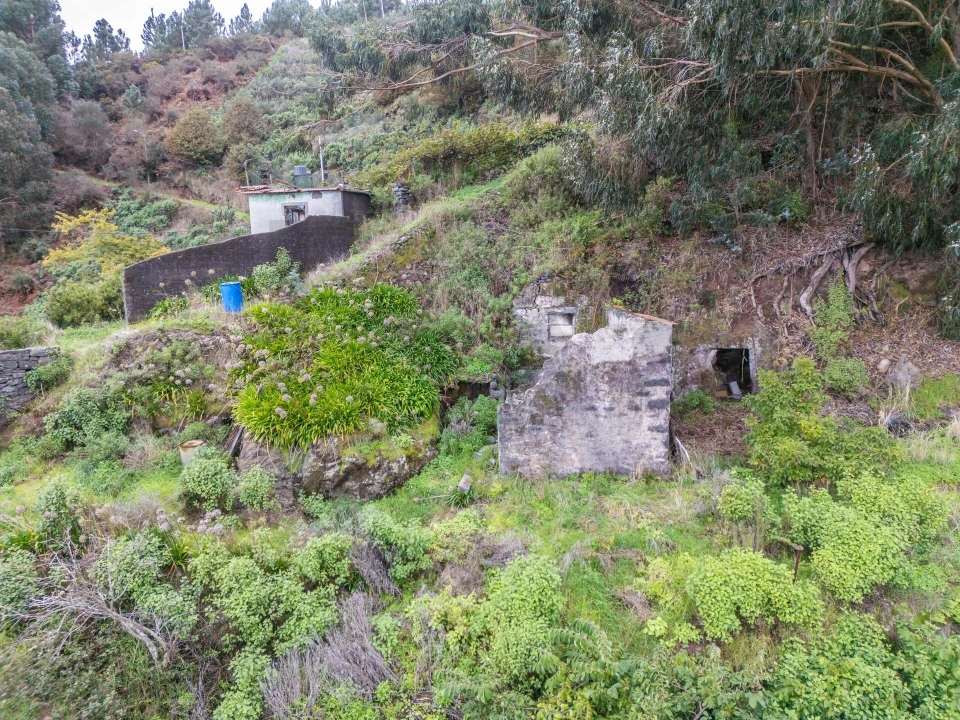 Terreno para Venda em Santa Cruz Foto 7