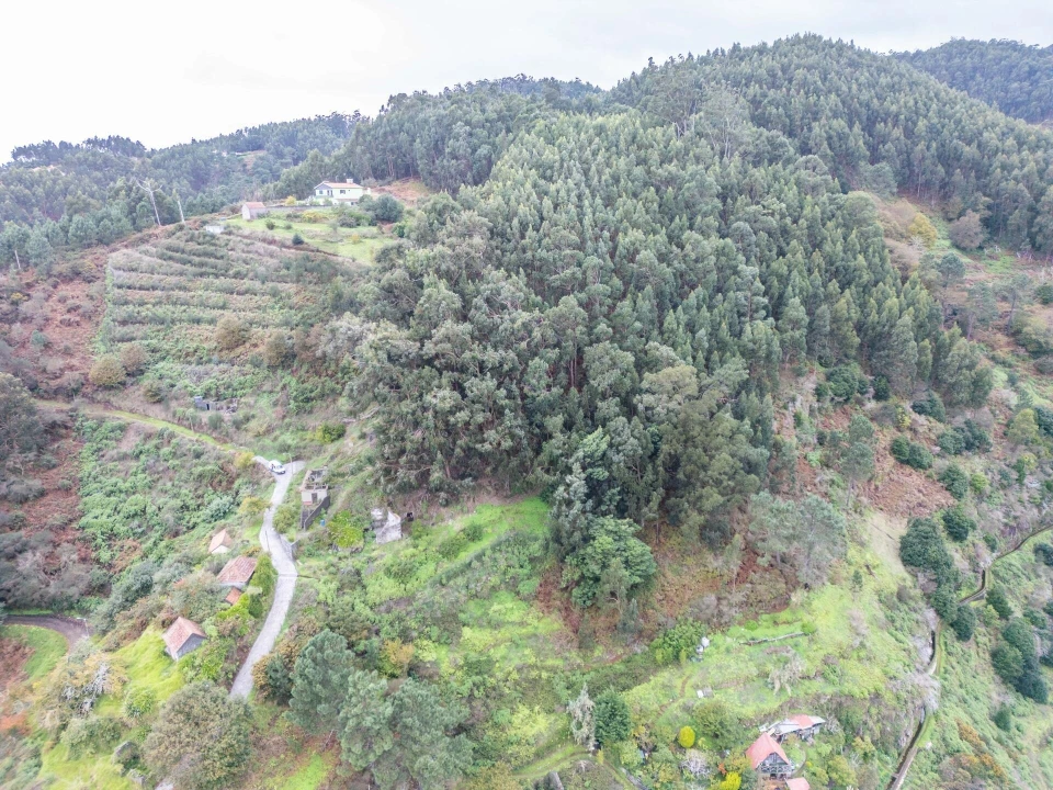 Terreno para Venda em Santa Cruz Foto 27