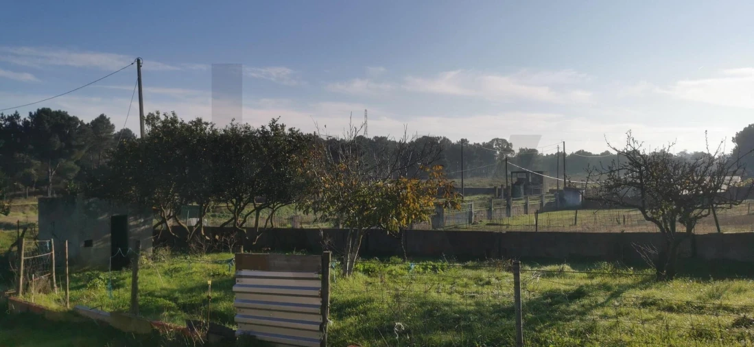 Terreno para Venda em Fernao Ferro Foto 26