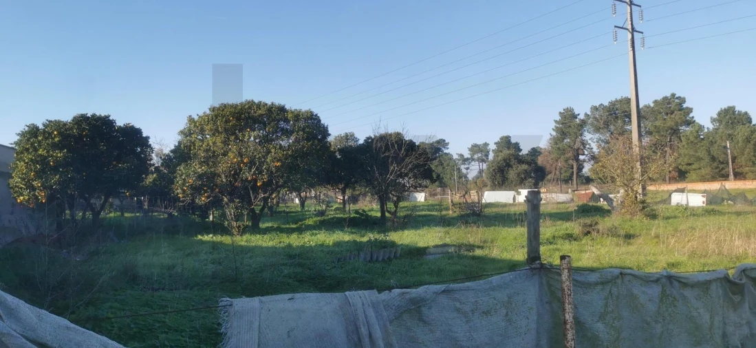 Terreno para Venda em Fernao Ferro Foto 27
