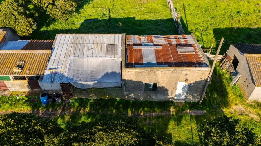 Terreno para Venda em Fernao Ferro Foto 14