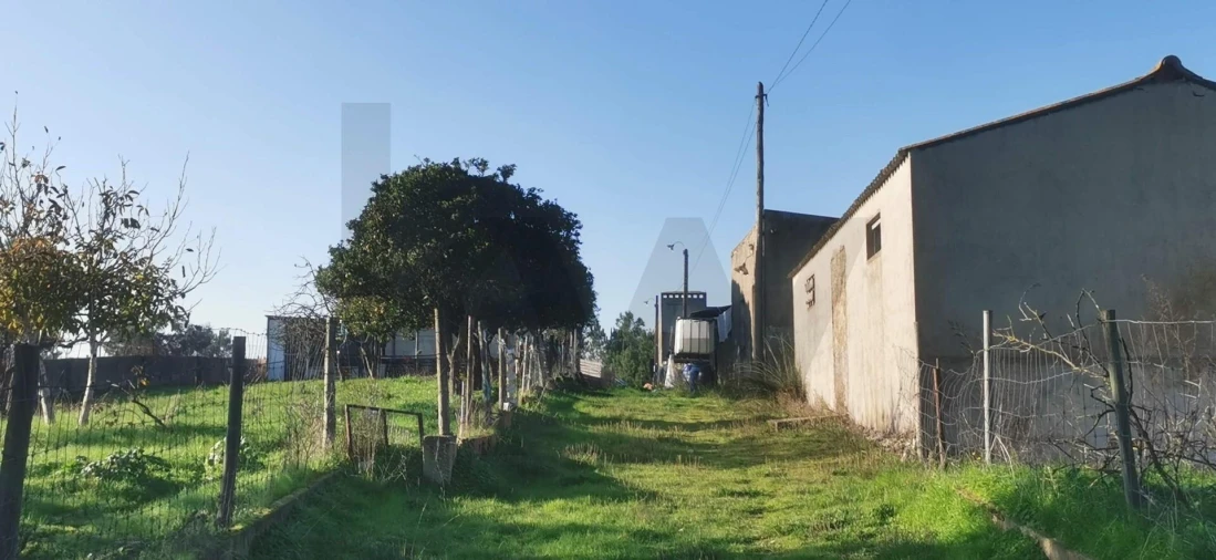 Terreno para Venda em Fernao Ferro Foto 24