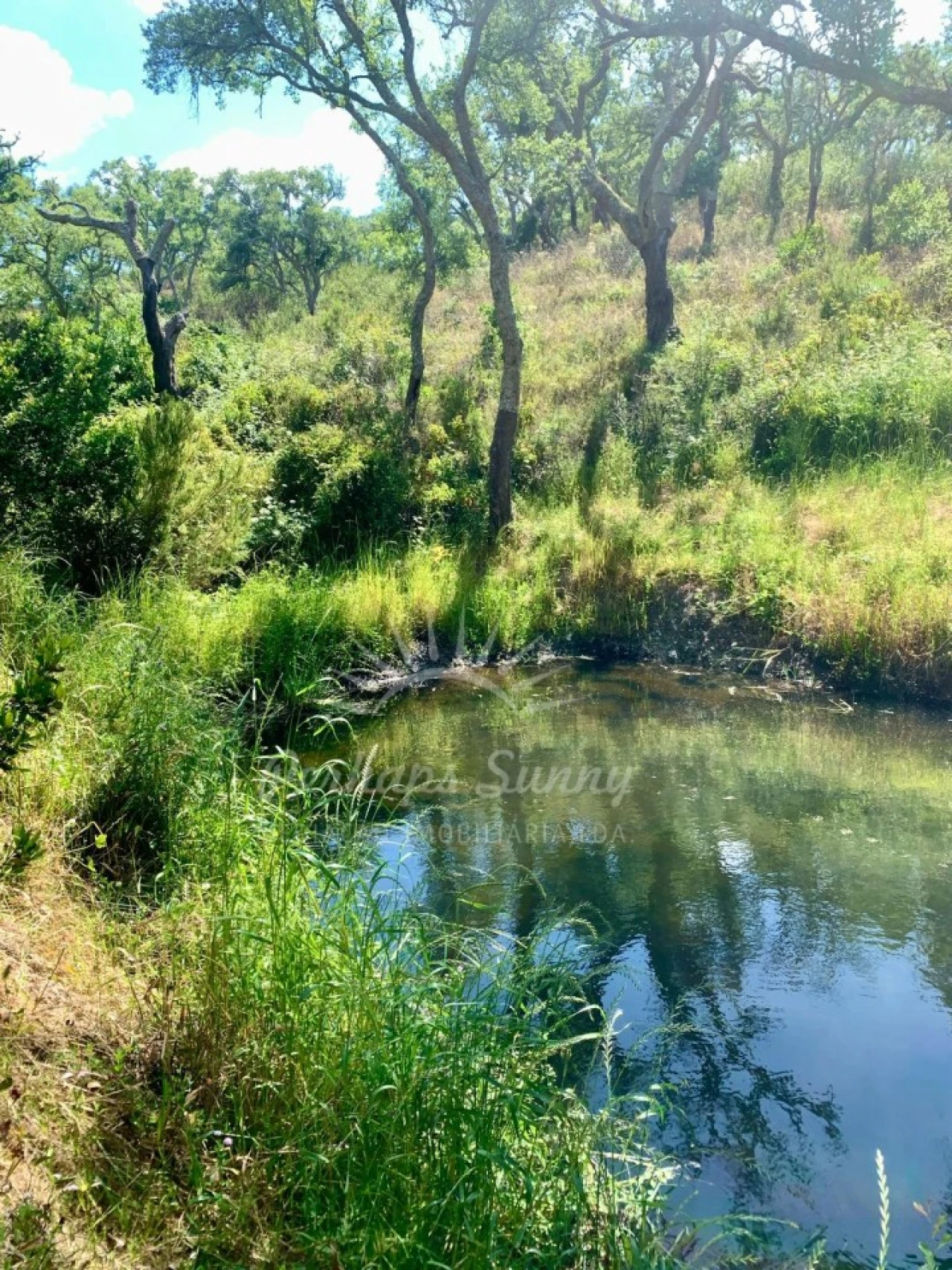 Terreno Agricola ou Rústico para Venda em Santiago do Cacém, Santa Cruz e São Bartolomeu da Serra Foto 1