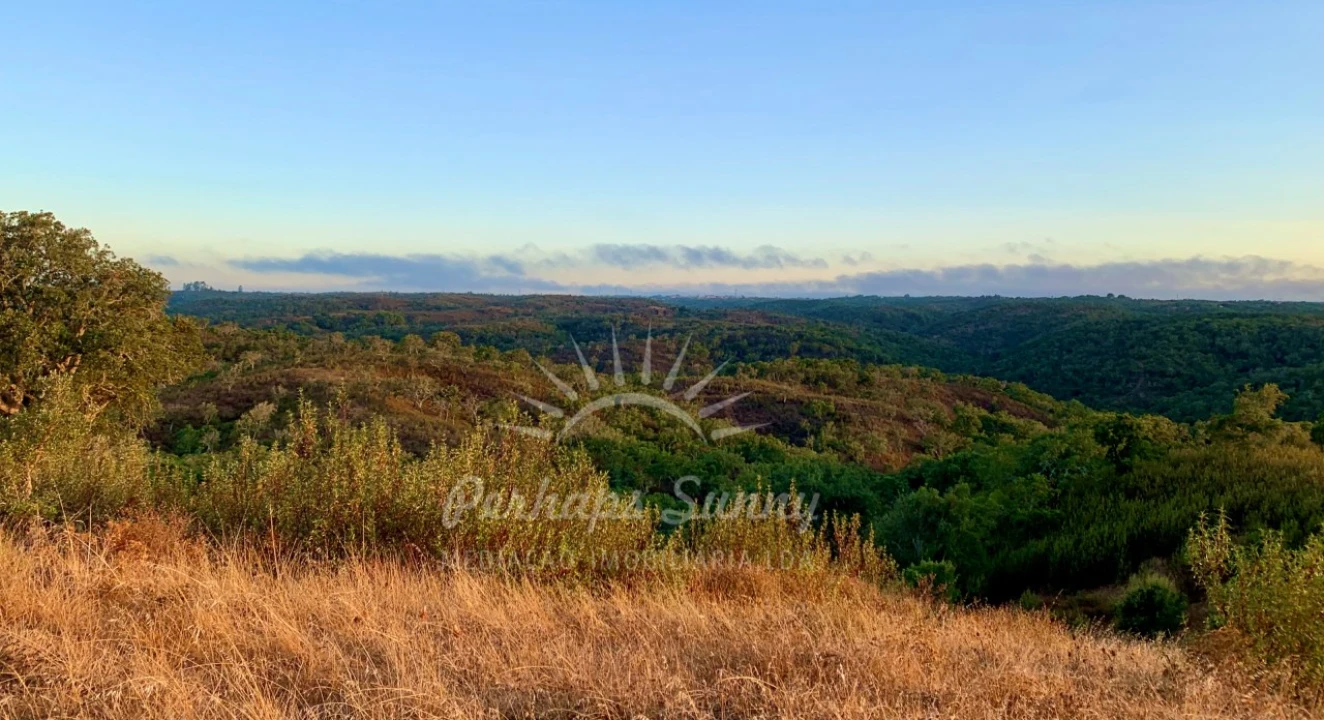 Terreno Agricola ou Rústico para Venda em Santiago do Cacém, Santa Cruz e São Bartolomeu da Serra Foto 6