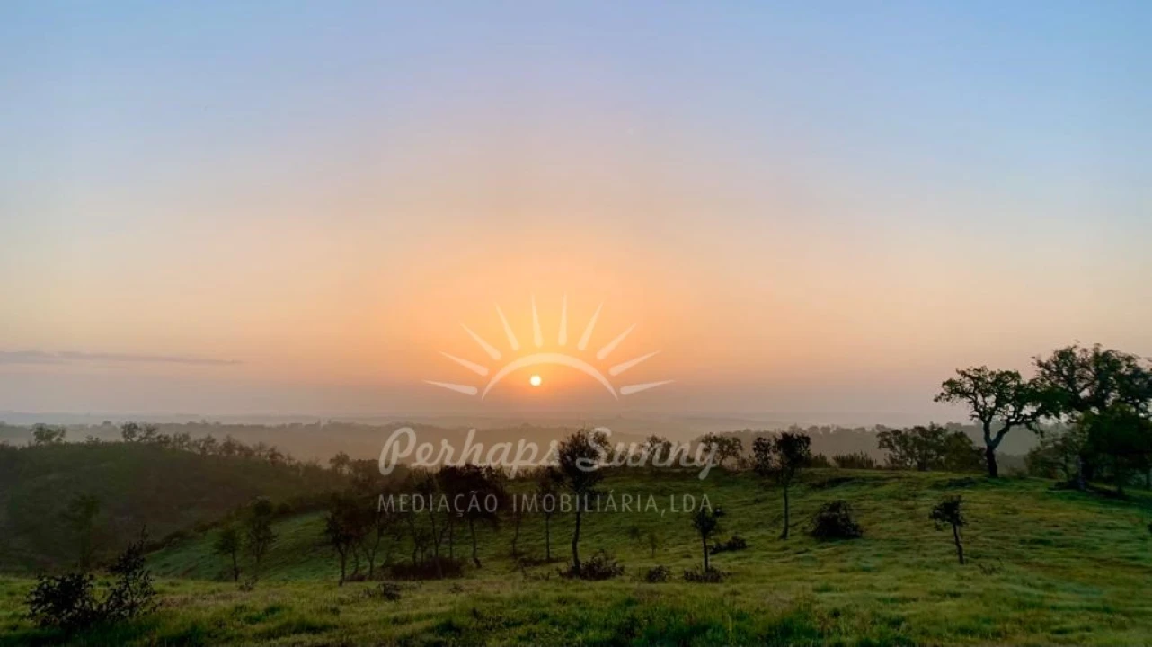Terreno Agricola ou Rústico para Venda em Santiago do Cacém, Santa Cruz e São Bartolomeu da Serra Foto 8