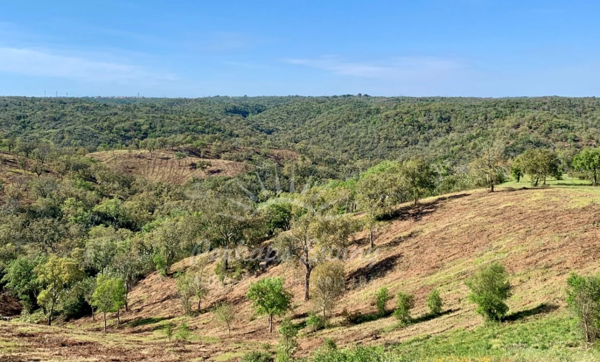 Terreno Agricola ou Rústico para Venda em Santiago do Cacém, Santa Cruz e São Bartolomeu da Serra Foto 10